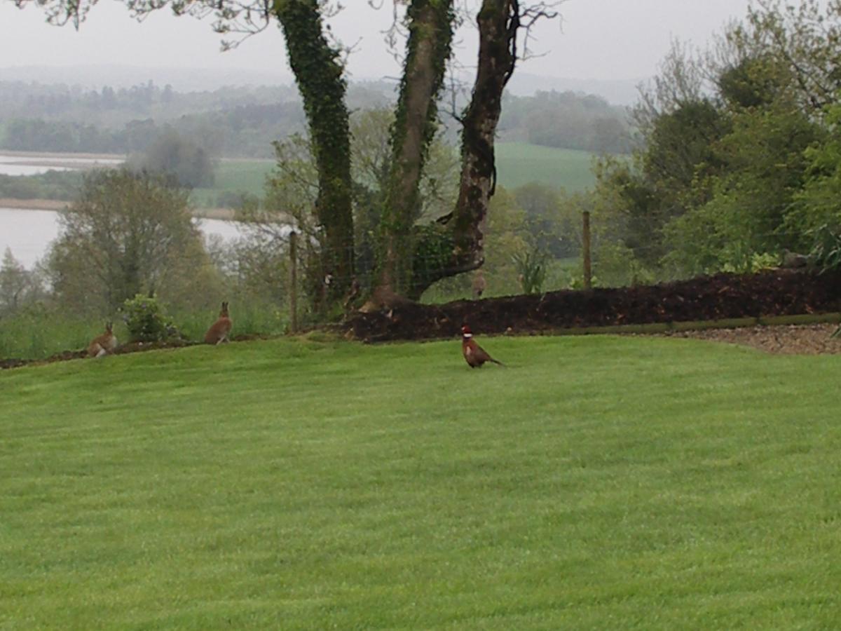 Willowbank House Enniskillen Ngoại thất bức ảnh